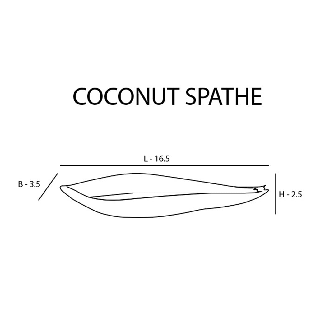 Coconut Spathe Ceramic Pod